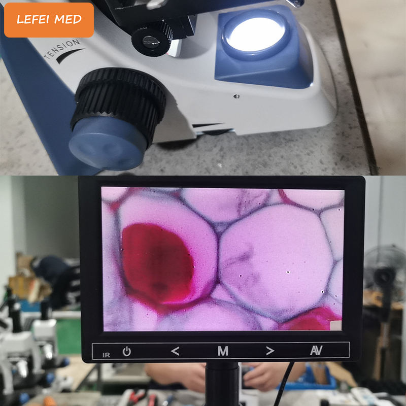 LF8200A Laboratory  Trinocular Biological Microscope  With Screen And Built-in Battery  Binocular microscopio Optical Microscope